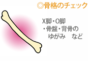 骨格のチェック